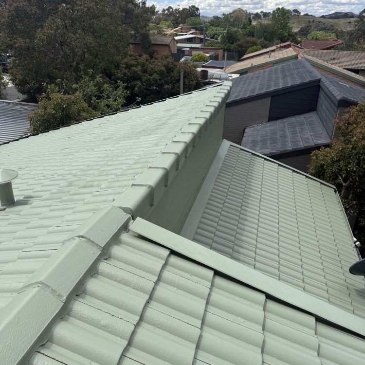 green roof painting