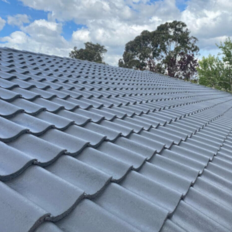 painted roof