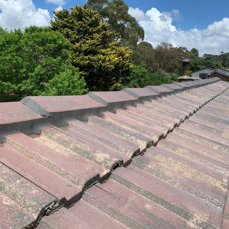 roof ridge rebedding and pointing